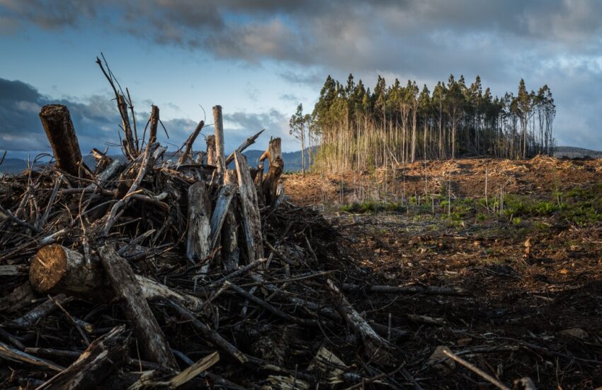 Biodiversity At Risk